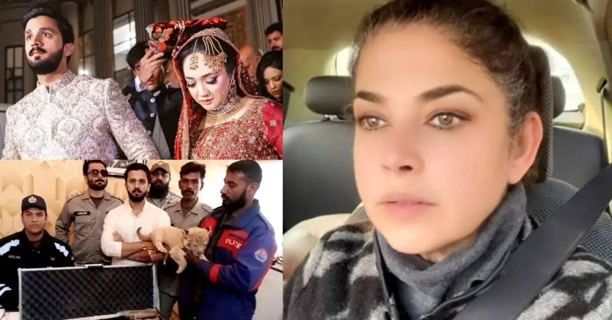 Mishi Khan defends Rajab Butt’s lavish wedding amid criticism