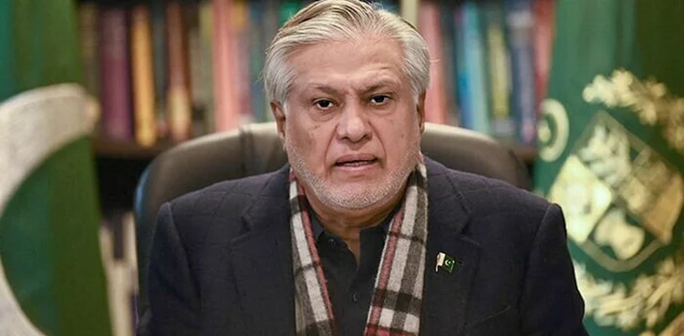 انڈس واٹر معاہدہ خطے کے استحکام کے لیے ناگزیر ہے، اسحاق ڈار