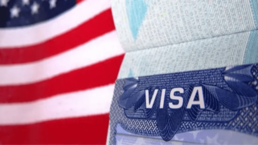 H-1B Visa shake-up: New rules and higher fees shrink applicant pool