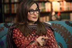 پاکستان اپنے دریاؤں کے تحفظ کے لیے ہر حد تک جائے گا: شیری رحمان